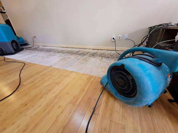 Professional Water Damage Repair technician working in Lebanon, OR